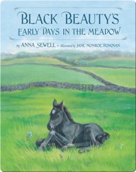 Black Beauty's Early Days in the Meadow