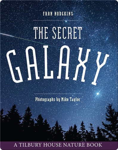 The Secret Galaxy