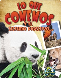 Lo que comemos y el sistema digestivo