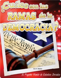 ¿Cuáles son las ramas de la democracia?