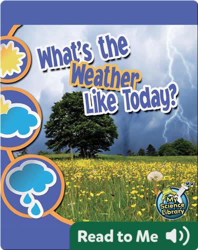 What's The Weather Like Today?