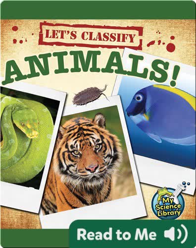 Let's Classify Animals!