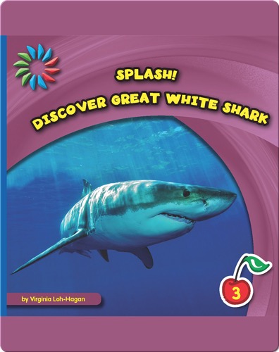 Discover Great White Sharks