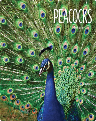 Peacocks