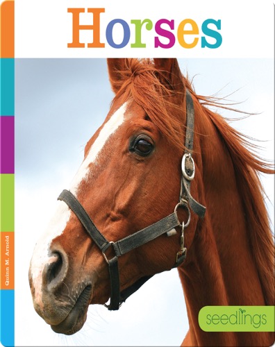 Horses