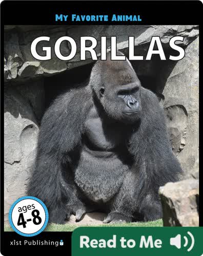 My Favorite Animal: Gorillas