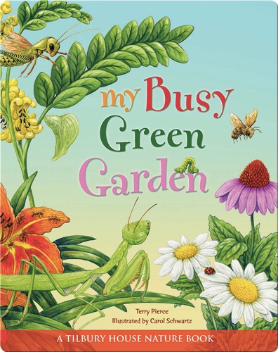 My Busy Green Garden