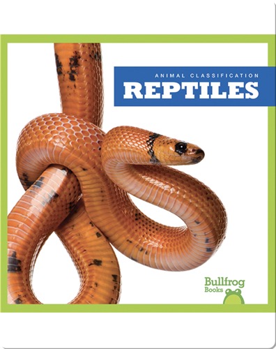Animal Classification: Reptiles
