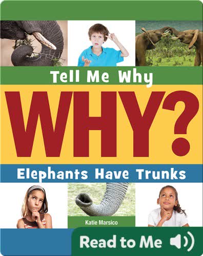 Elephants Have Trunks