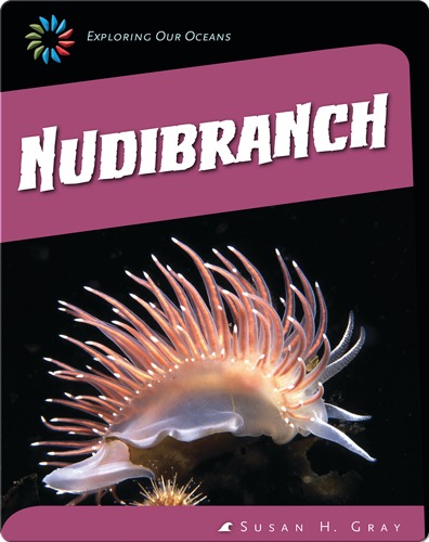 Nudibranch