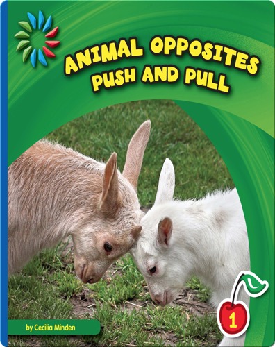 Push and Pull