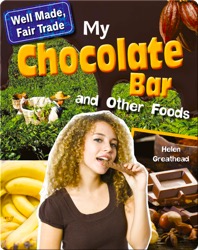 My Chocolate Bar and Other Foods