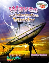 Waves and Information Transfer