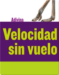 Velocidad sin vuelo: Avestruz