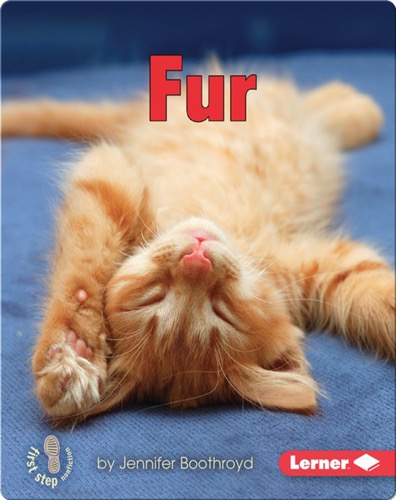 Fur