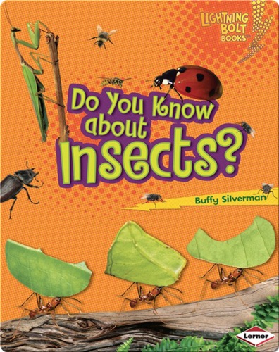 Do You Know about Insects?