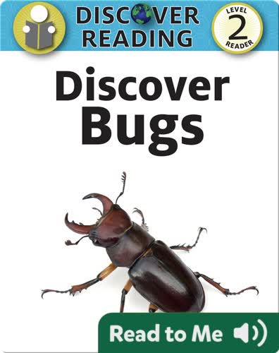 Discover Bugs