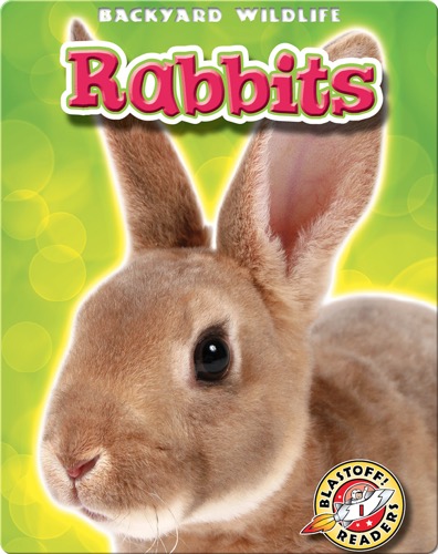 Backyard Wildlife: Rabbits