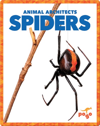 Spiders