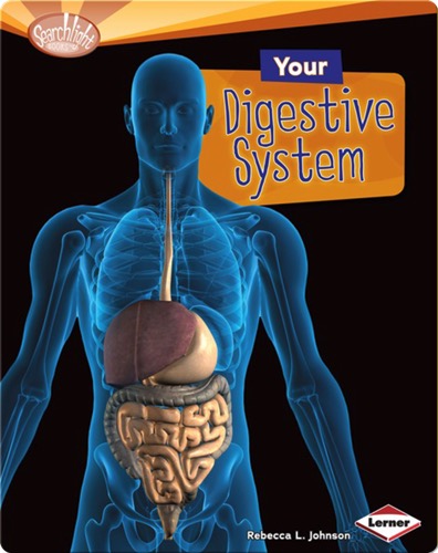 Your Digestive System