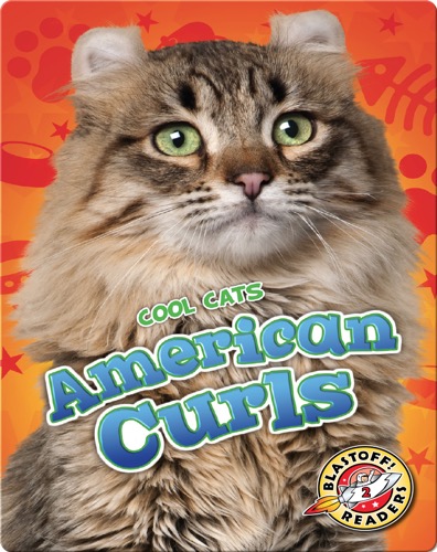American Curls
