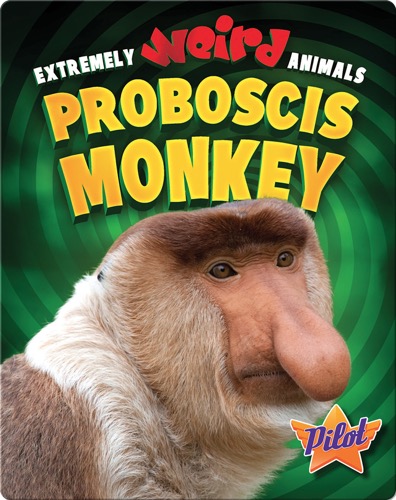 Proboscis Monkey