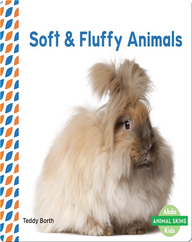 Soft & Fluffy Animals