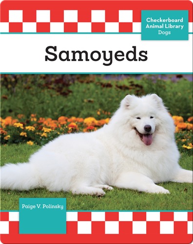 Samoyeds