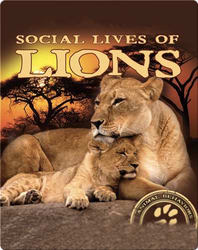 Social Lives of Lions