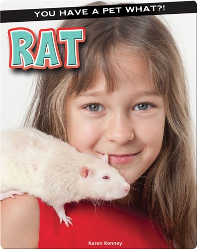 Rat