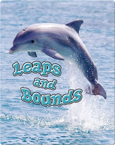 Leaps and Bounds