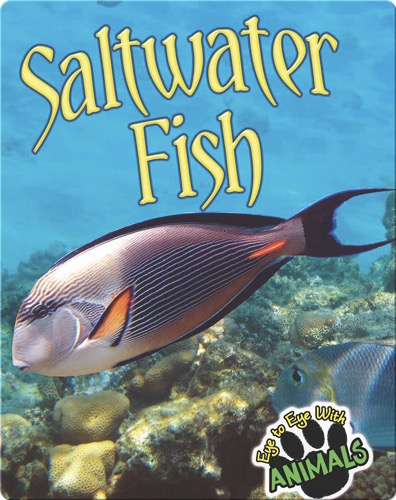 Saltwater Fish