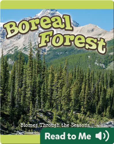 Seasons Of The Boreal Forest Biome