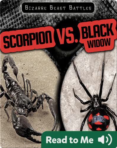 Scorpion vs. Black Widow