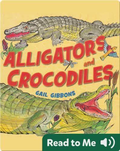 Alligators and Crocodiles