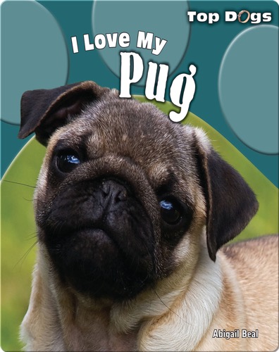 I Love My Pug