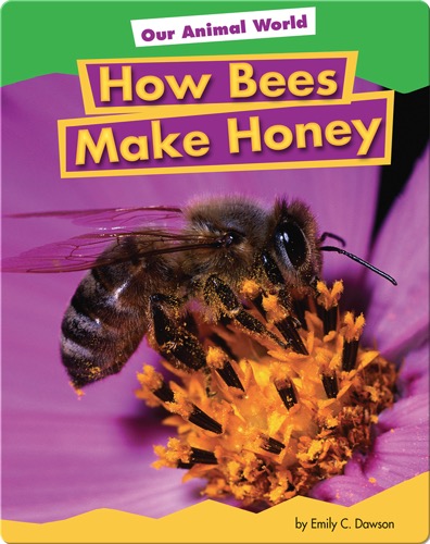 How Bees Make Honey
