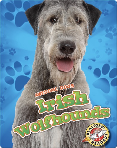 Irish Wolfhounds