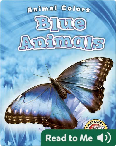 Blue Animals