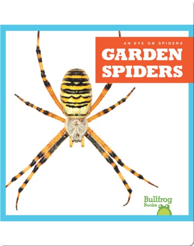 Garden Spiders