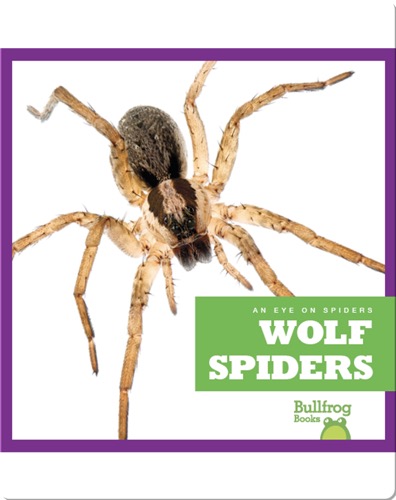 Wolf Spiders
