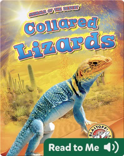 Collared Lizards