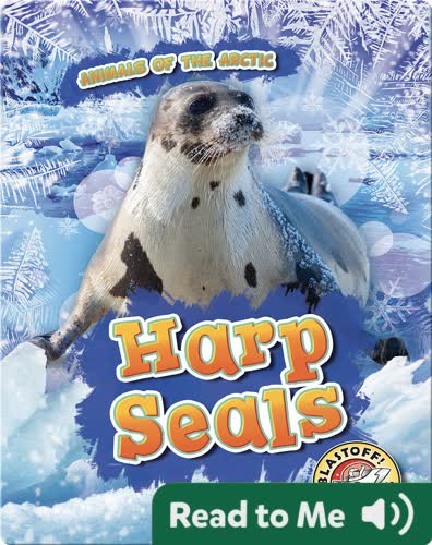 Harp Seals