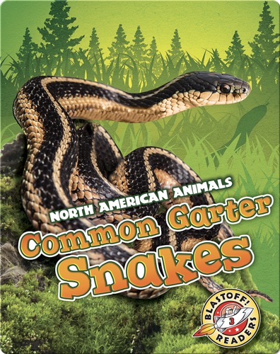 Common Garter Snakes
