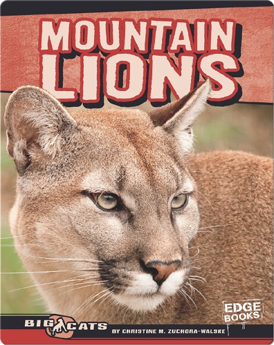 Mountain Lions