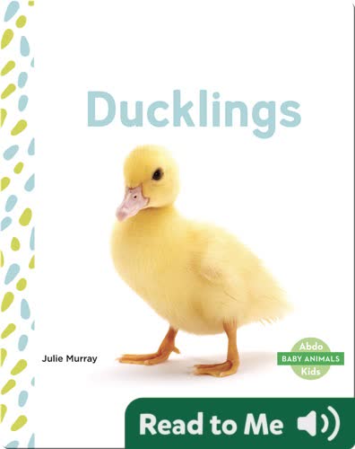 Ducklings