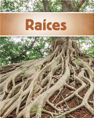 Raíces