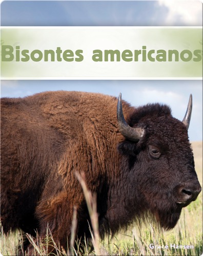 Bisontes americanos