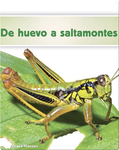 De huevo a saltamontes