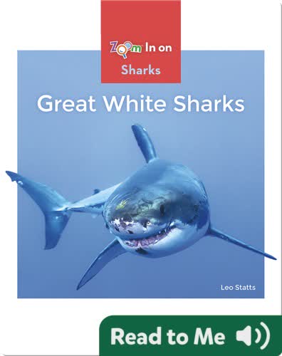 Great White Sharks